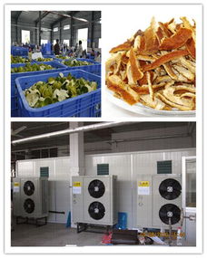 陳皮烘干機價格 深圳陳皮烘干機