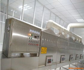 食品微波干燥殺菌技術(shù)及效果