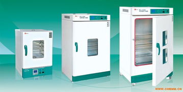 臥式鼓風(fēng)干燥箱原理 武漢實(shí)驗(yàn)室烘干箱圖片 食品干燥用實(shí)驗(yàn)室箱子