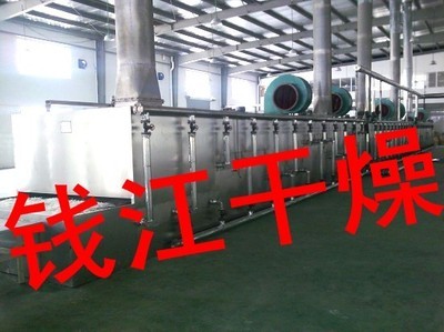 黃山貢菊烘干守護(hù)者 探秘常州市錢江干燥設(shè)備的匠心工藝